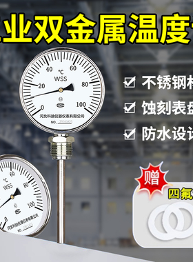 温度计工业用测温针wss插入式探针不锈钢双金属温度计锅炉管道