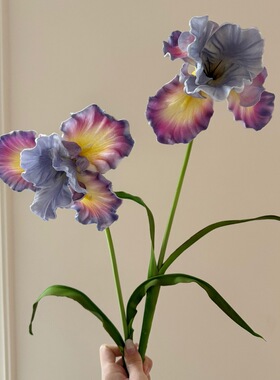 手感保湿油画鸢尾花假花