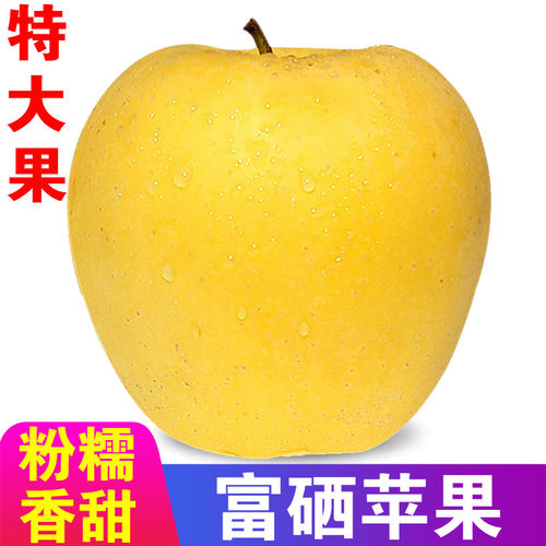 正宗山东烟台黄元帅苹果粉面香甜
