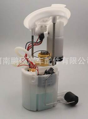 16117344066 16117243975 16119468611适用于宝马燃油泵总成