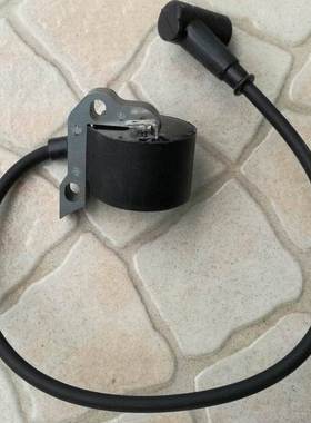 Ignition MS 200 200T 250 FS160 FS180 FS220 FS280 FS290点火器