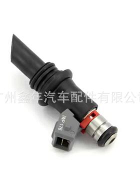 IWP176 适用于大众福克斯 高尔夫1.0 1.6 8V 喷油嘴 IWP-176