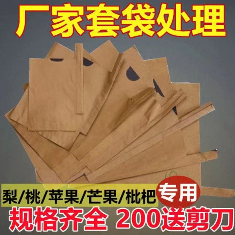 梨专用套袋苹果桃水果套袋果树防虫黄金梨晚秋黄梨耐用防水防鸟袋