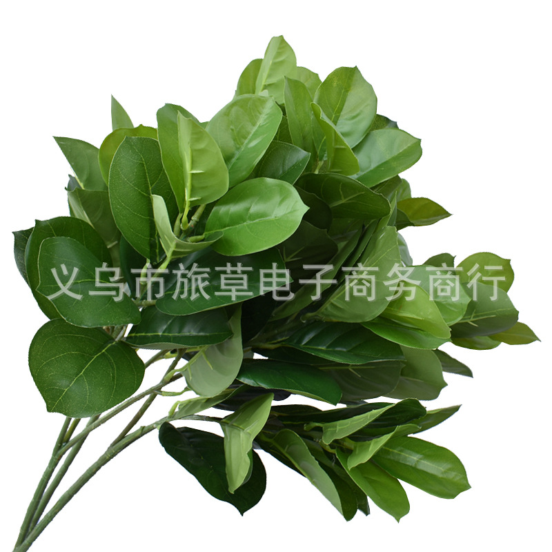 新品3叉仿真大玉兰叶绿叶植物枇杷叶客厅样板房植物墙