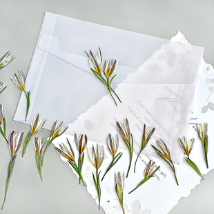 干花双叶百合压花誓言卡请柬贺卡装饰书签信封火漆印章diy材料