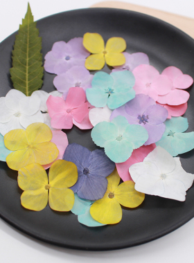 绣球干花押花多彩标本手工diy