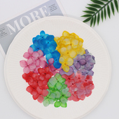 绣球花干花压花押花植物标本书签DIY手工滴胶真花手机壳 兰花西房