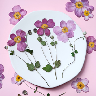 野棉花压花干花相框材料请柬信封装饰手工滴胶客厅摆件DIY