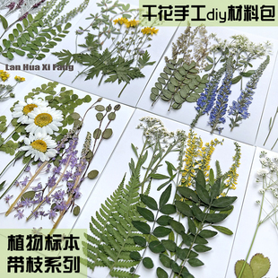 干花diy材料压花植物标本滴胶杯垫花草书签相框树叶贴画礼盒饰品