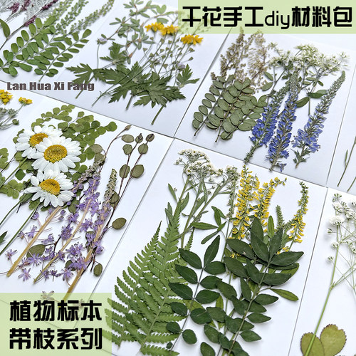 花草树叶标本材料书签贴画diy