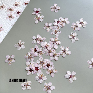 干花压花 押花相框团扇梅花桃花植物标本书签台灯手工diy材料