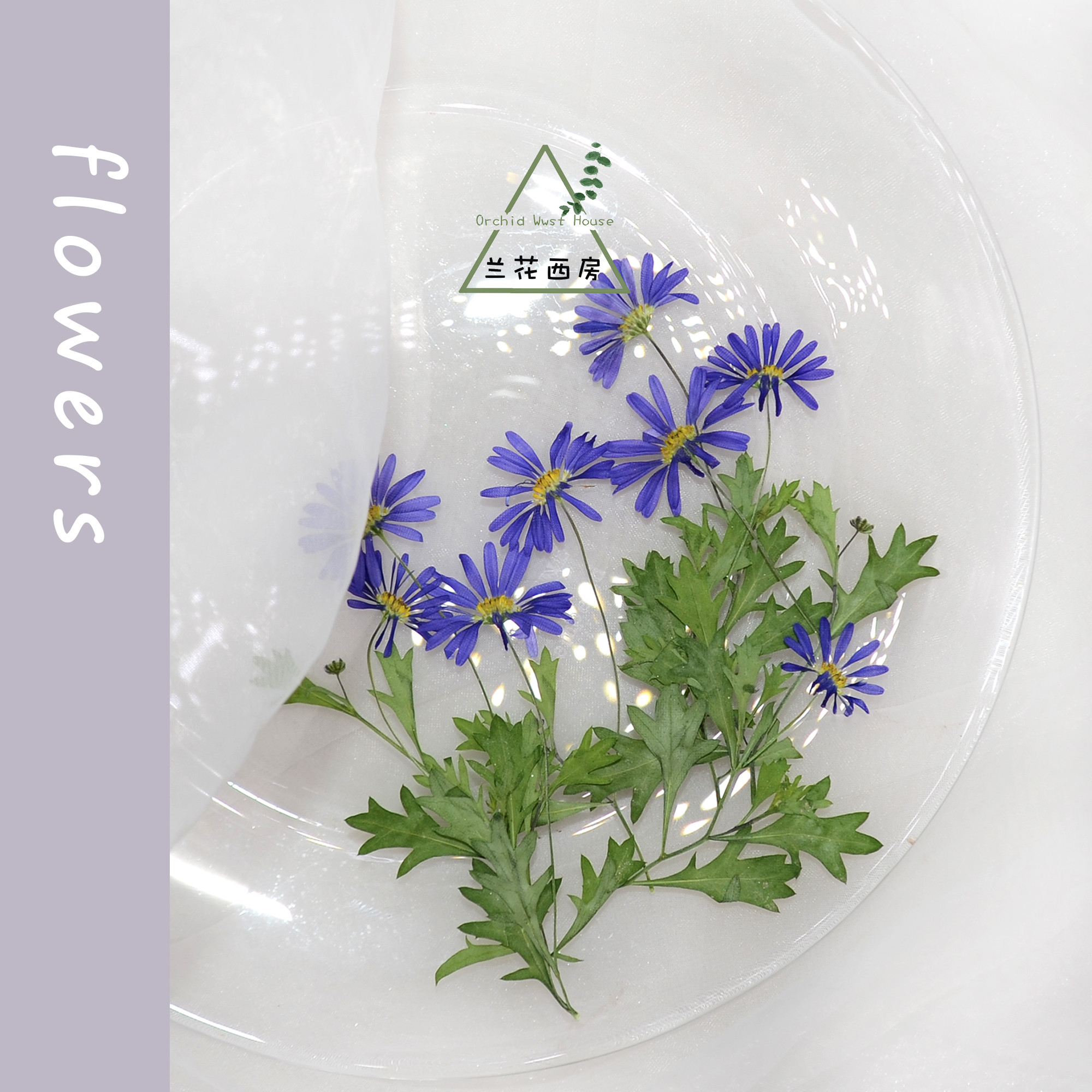 带枝马兰相框书签台灯手工diy