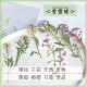 干花材料包香雪球标本滴胶手机壳信封贺卡请柬火漆印章婚礼喜帖