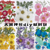 干花押花 植物标本滴胶手机壳儿童幼儿园教学书签贴画DIY材料包