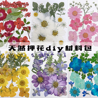 干花押花 植物标本滴胶手机壳儿童幼儿园教学书签贴画DIY材料包