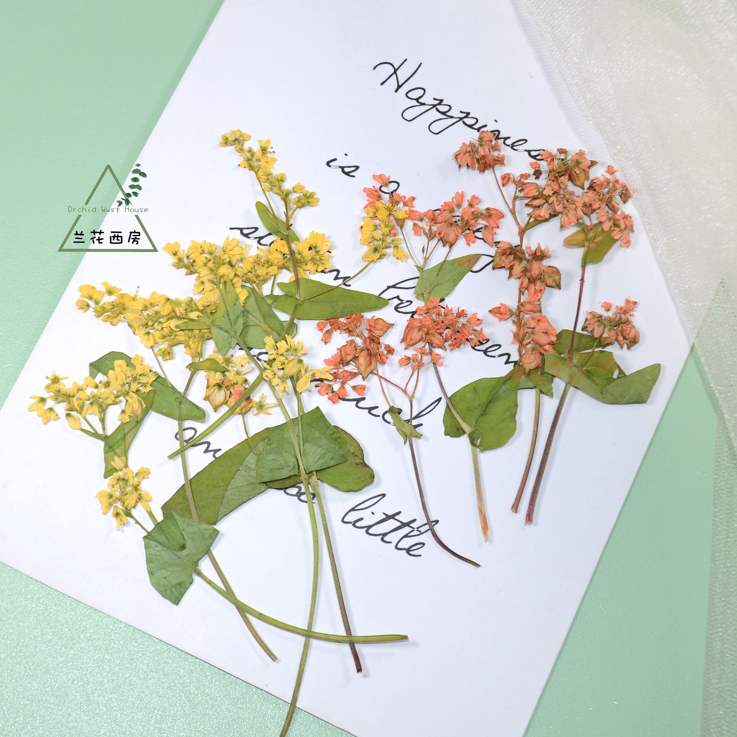 干花压花 带枝荞麦花天然植物diy滴胶真花装饰火漆请柬搭配信封