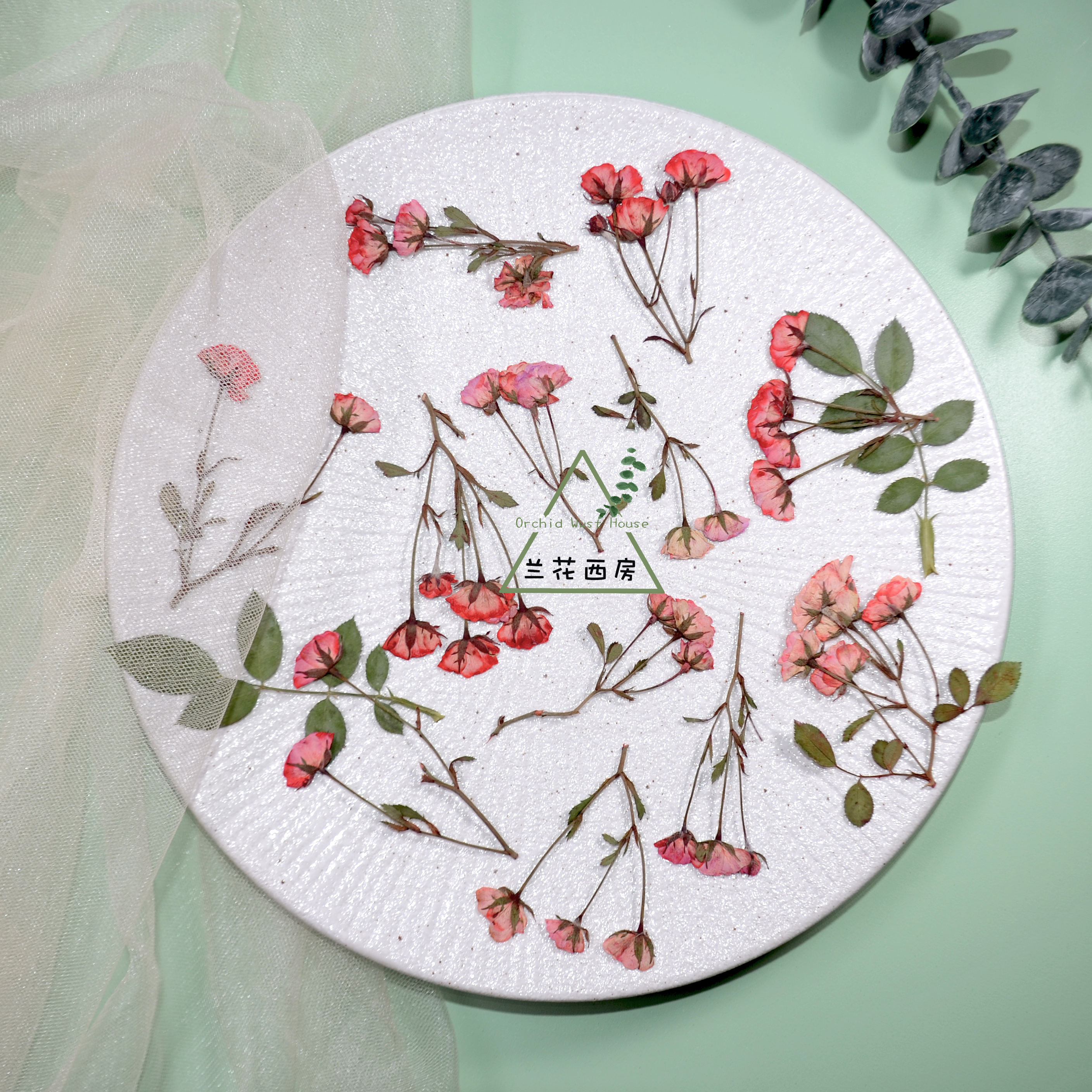 带枝玫瑰月季真花请柬礼盒装饰