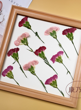 侧压康乃馨教师节贺卡diy真花干花标本粉色花瓣压花相框手工礼物