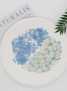 兰花西房 天蓝色绣球干花花瓣妆压花植物标本书签押花画相框