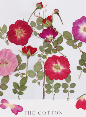 玫瑰干花diy材料月季干花压花标本滴胶手工押花相框火漆印章