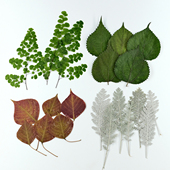 干花压花巴西圆叶玉麻植物标本相框 画diy材料包 春夏秋冬一年四季