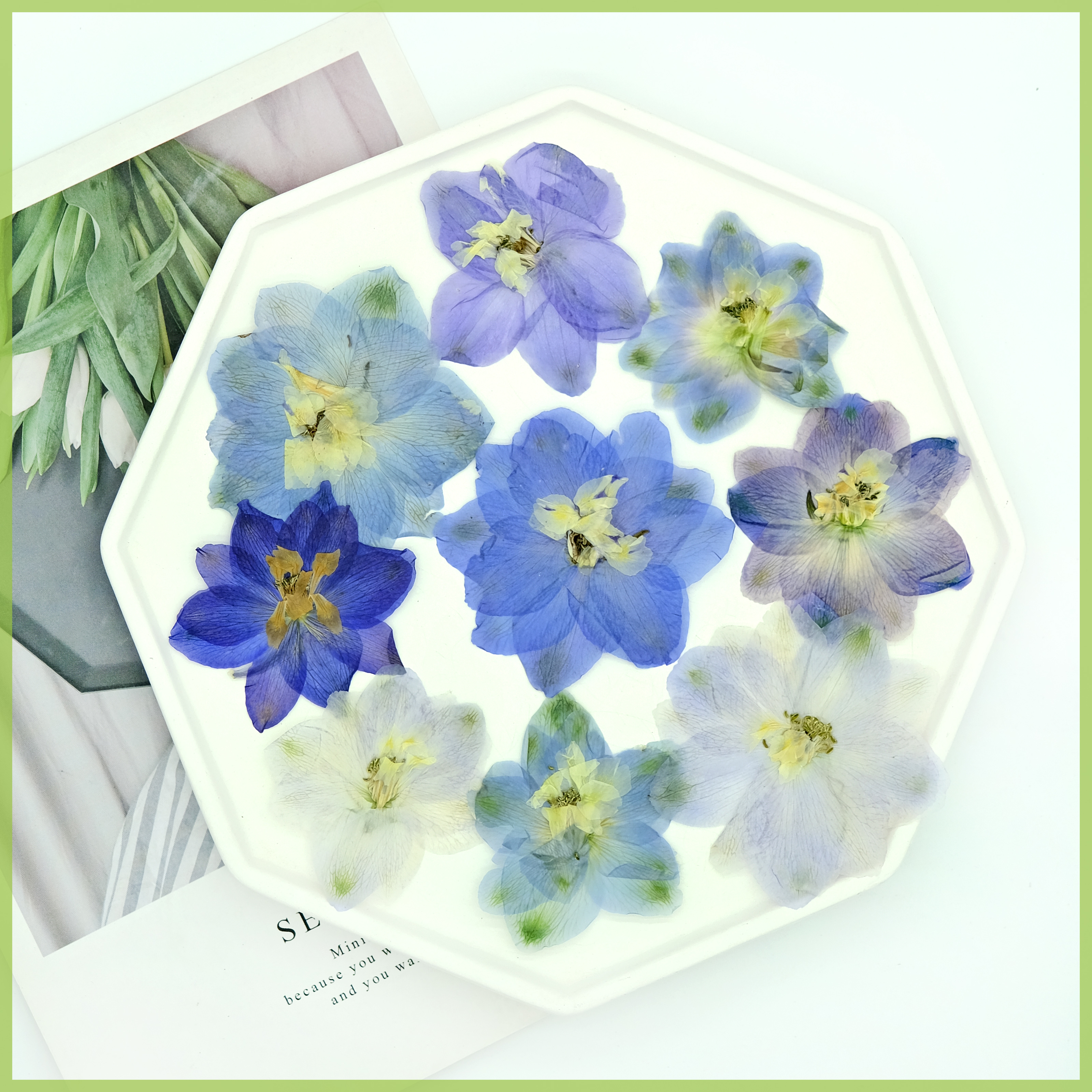 飞燕植物标本美妆滴胶手机壳干花