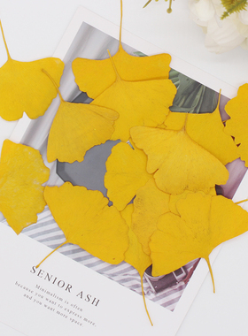 兰花西房 银杏叶真花干花植物标本压花相框书签滴胶手机壳押花画