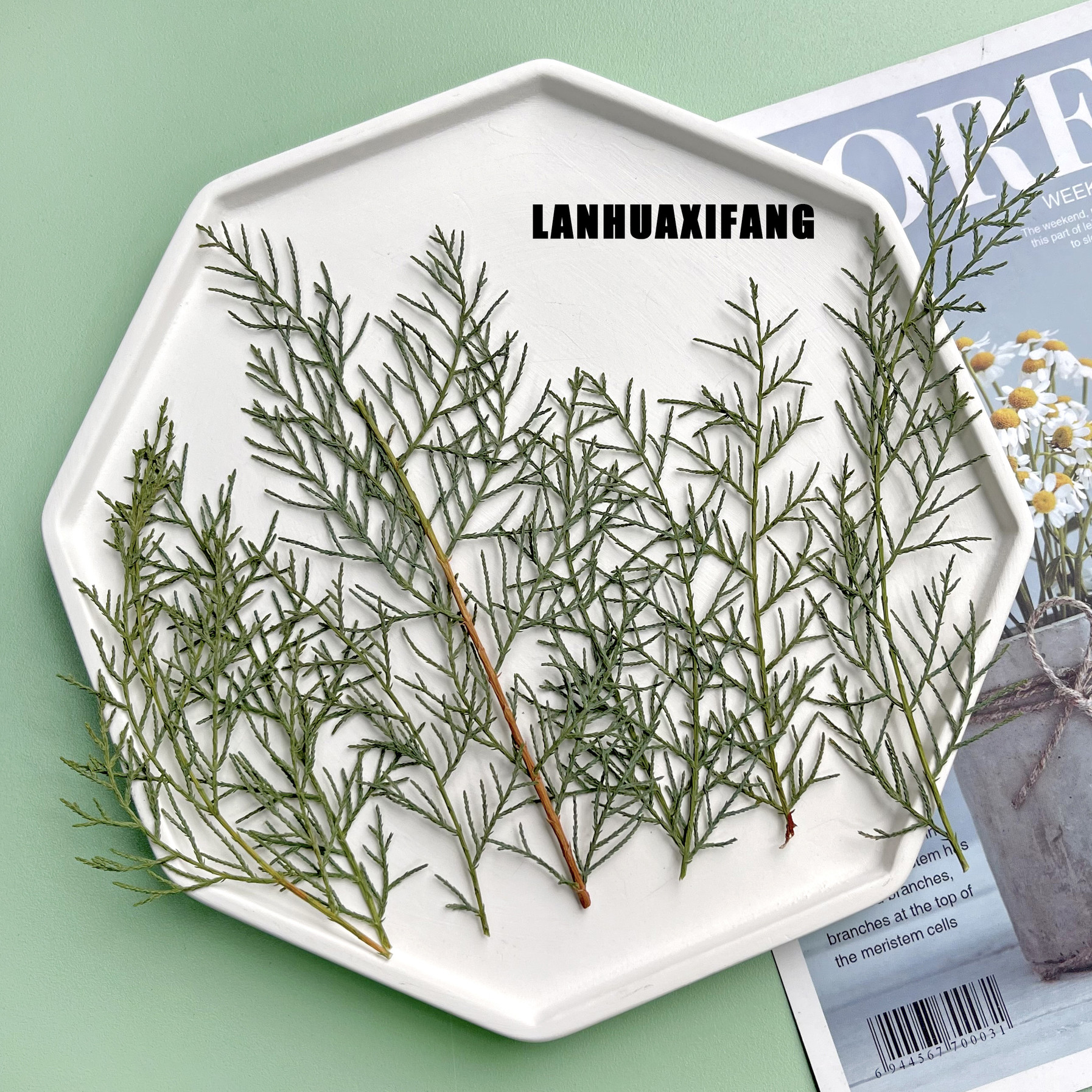 幼儿园手工diy材料教程分享