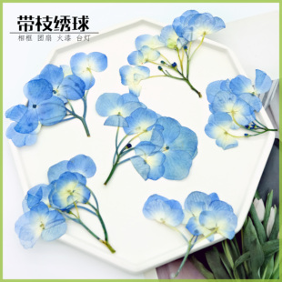 蓝色带枝绣球压花干花相框手账素材火漆信封搭配装饰滴胶diy材料