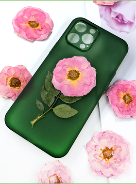 粉色玫瑰花朵押花平面标本