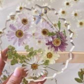 玛格丽特 干花压花贴脸装 饰书签相框diy植物标本幼儿园亲子手工di