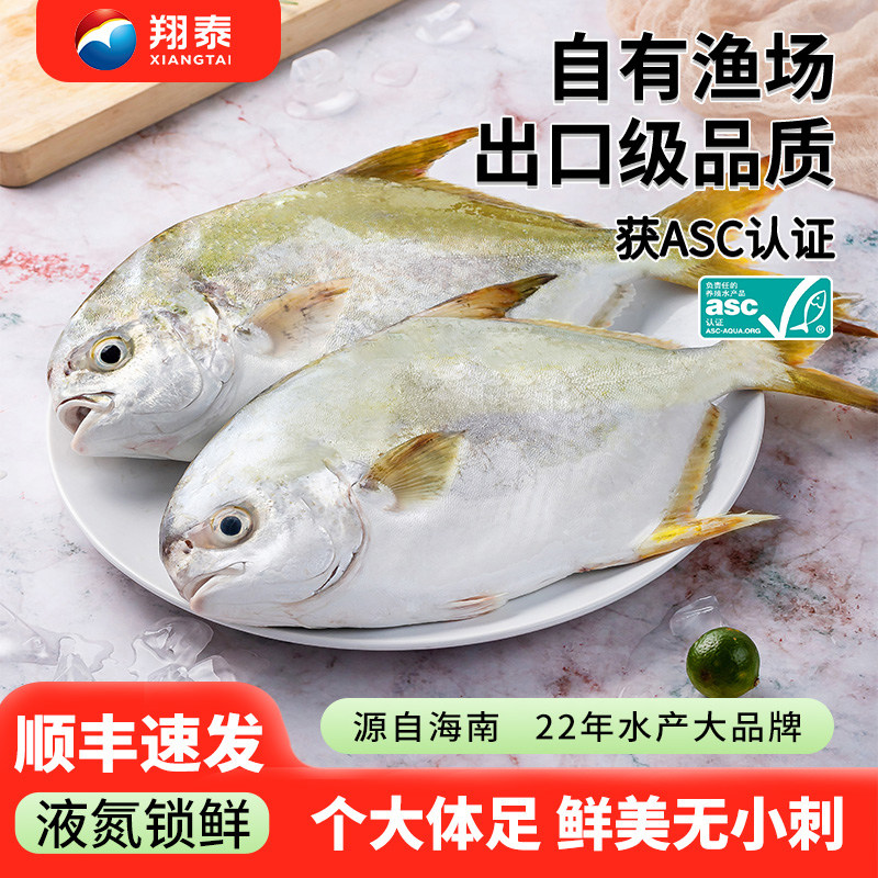 翔泰金鲳鱼新鲜鲜活海鱼海鲜水产原条刺少肉嫩冷冻海南官方旗舰店