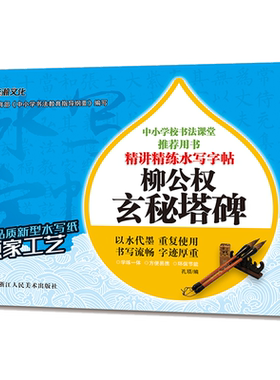 柳公权玄秘塔碑精讲水写字帖书法