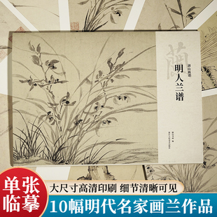 明人兰谱 湖山画谱文徵明徐渭墨兰图装饰鉴赏临摹画册画稿历代名家册页传统中国画水墨写意画兰花花鸟画法绘画入门技法教程作品集