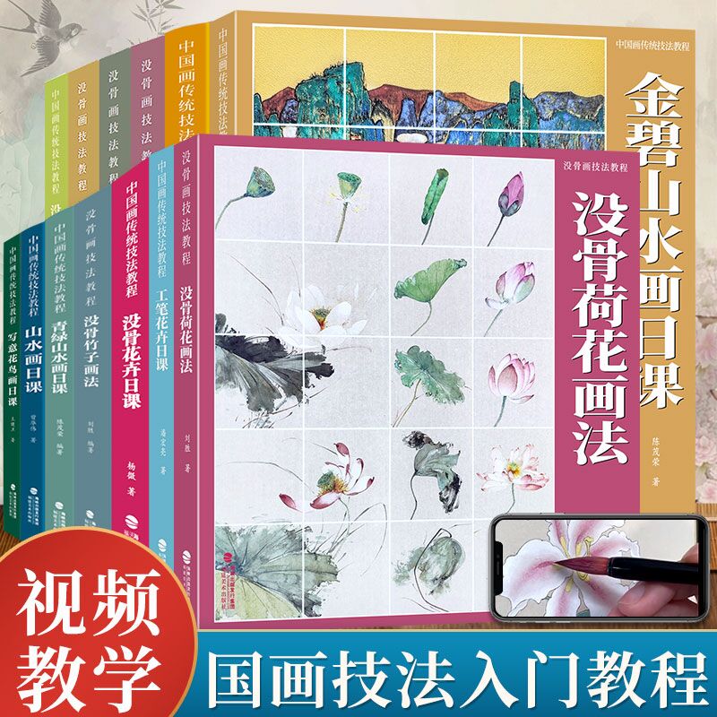 中国画传统技法入门教程全集 附视频教学没骨花卉蔬果草虫梅花兰花竹子菊花荷花画法金碧青绿山水画日课临摹画册画谱底稿书籍