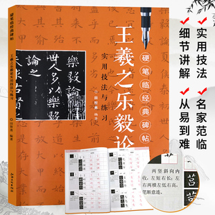 硬笔临经典 王羲之乐毅论 小楷楷书毛笔钢笔书法练字帖习字册成人大人学生初学者入门教程临摹练字古帖培训教材实用技法与练习 碑帖