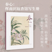饰画国风书桌装 春心 帧历代名家册页精选鉴赏临摹画册中国画片作品集可作挂画装 恽寿平花卉册单片装 饰湖山逸品 恽南田瓯香馆写生册