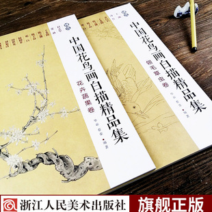 历代名家经典 白描作品零基础初学者临摹鉴赏教程书 翎毛草丛卷全2册 中国花鸟画白描精品集花卉蔬果卷 国画工笔画白描底稿花鸟画谱