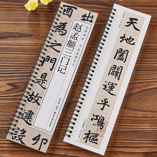 赵孟頫三门记近距离临摹字卡