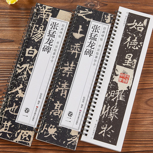共2册 北魏张猛龙碑 经典碑帖近距离书法临摹字卡 原碑原大版全文成人初学者魏碑楷书毛笔软笔书法入门临摹练字帖古帖范本基础教程