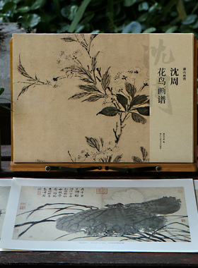 沈周花鸟画谱 8开单片高清印刷可临摹可装饰 历代名家册页鉴赏临摹画册初学者入门绘画中国画花鸟画技法教程作品集画集 湖山画谱