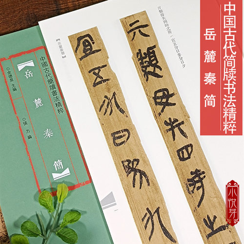中国古代简牍书法精粹 岳麓秦简 毛笔书法字帖 临摹赏析 秦简字帖 毛笔古代简牍书法 简牍书法研究 河南美术出版社 全新正版书籍