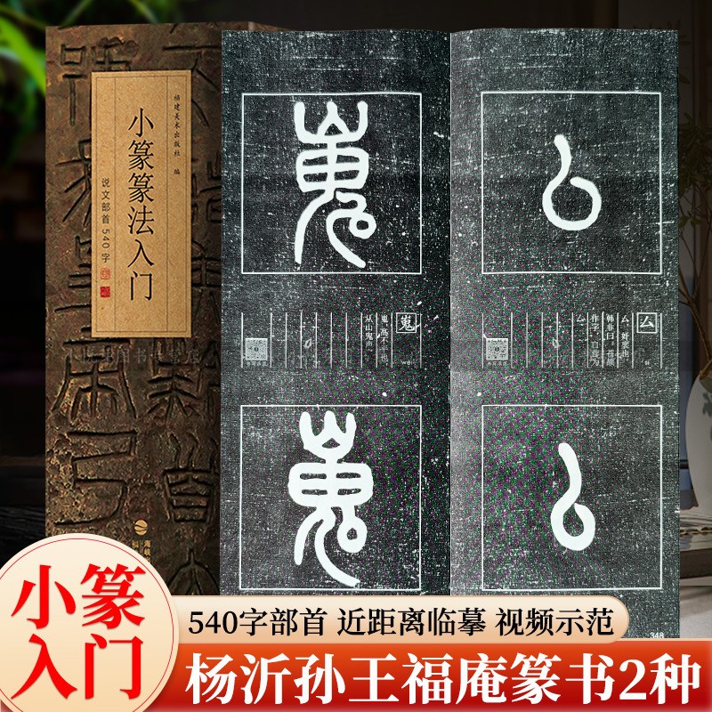 小篆篆法入门 说文部首540字 杨沂孙王福庵篆书练字帖说文解字 学生成人初学者篆书篆刻入门毛笔书法字帖碑帖临摹教程工具书字典