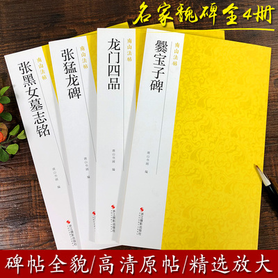 历代魏碑代表作全4册 张黑女墓志铭+张猛龙碑+龙门四品+爨宝子碑高清原碑帖临摹 兼隶楷书神韵毛笔书法字帖 中国碑帖名品南山法帖