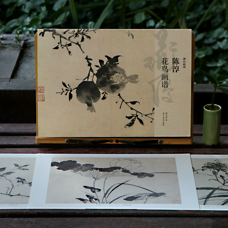 陈淳花鸟画谱单片临摹画册