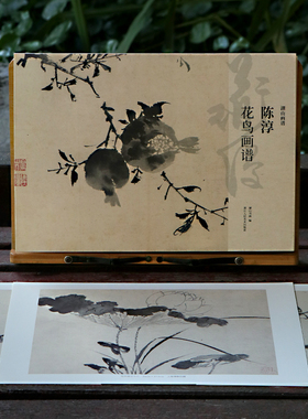 陈淳花鸟画谱 大8开单片高清印刷可临摹可装饰 历代名家册页鉴赏临摹画册初学者入门绘画中国画花卉画技法教程作品集画集 湖山画谱