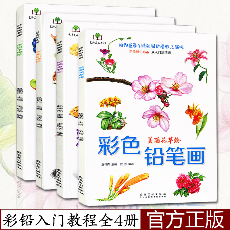 技法教程美术教材画画套装