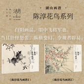 湖山画谱陈淳花鸟画谱全集2册 单片高清印刷可临摹可装 饰历代名家册页鉴赏临摹画册初学者入门绘画中国画写意花卉画技法教程作品集