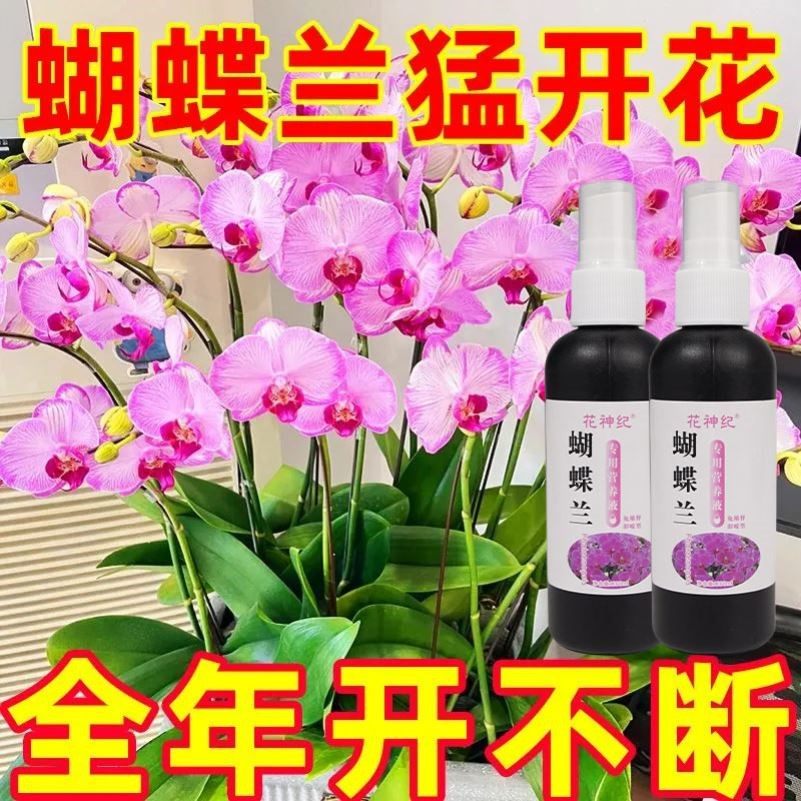 蝴蝶兰营养液浓缩专用肥兰花肥料促进开花君子兰科有机花肥液体肥