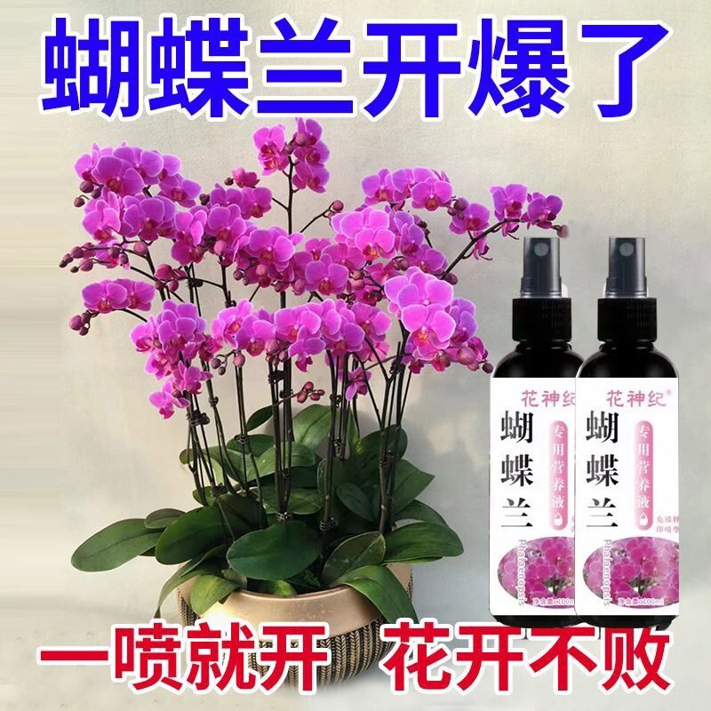 【爆箭王】蝴蝶兰营养液爆箭促开花烂根黄叶防病害专用肥料免稀释